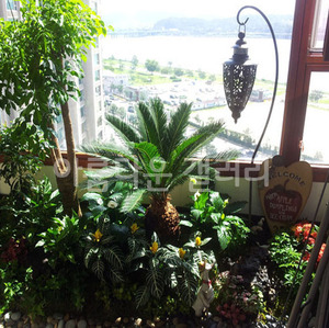 [아름다운갤러리]한강 자이아파트 베란다 정원